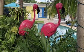 Calypso Inn Wilton Gay Male Resort